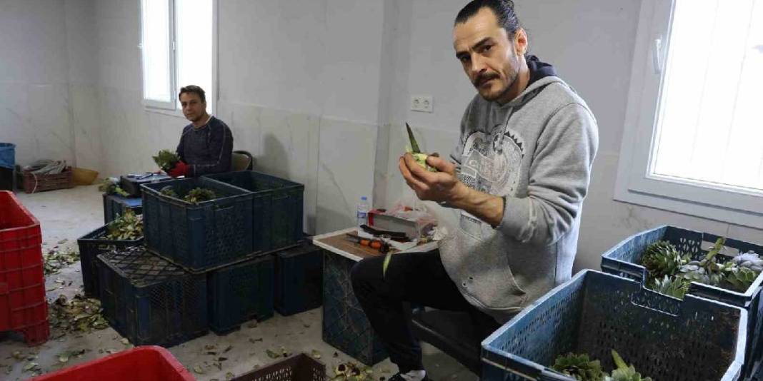 Sarraf altını onlar bıçağı işliyor! Yeşil elmas mesaisinin getirisi asgari ücreti 4’e katlıyor 1